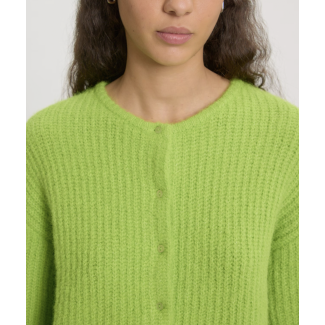 ILIANA CARDIGAN Macaw Green