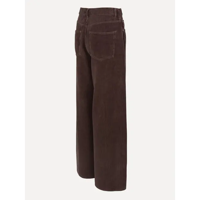 JACKSON VELOURS PANTS Brown