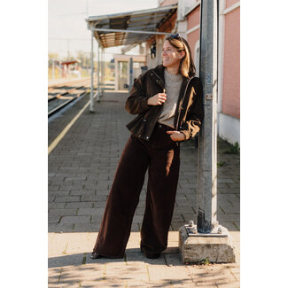 Les Soeurs JACKSON VELOURS PANTS Brown