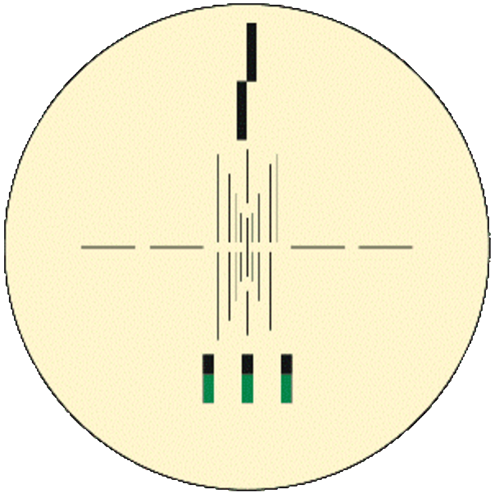 Electronic Scale Version ES avec loupe x10