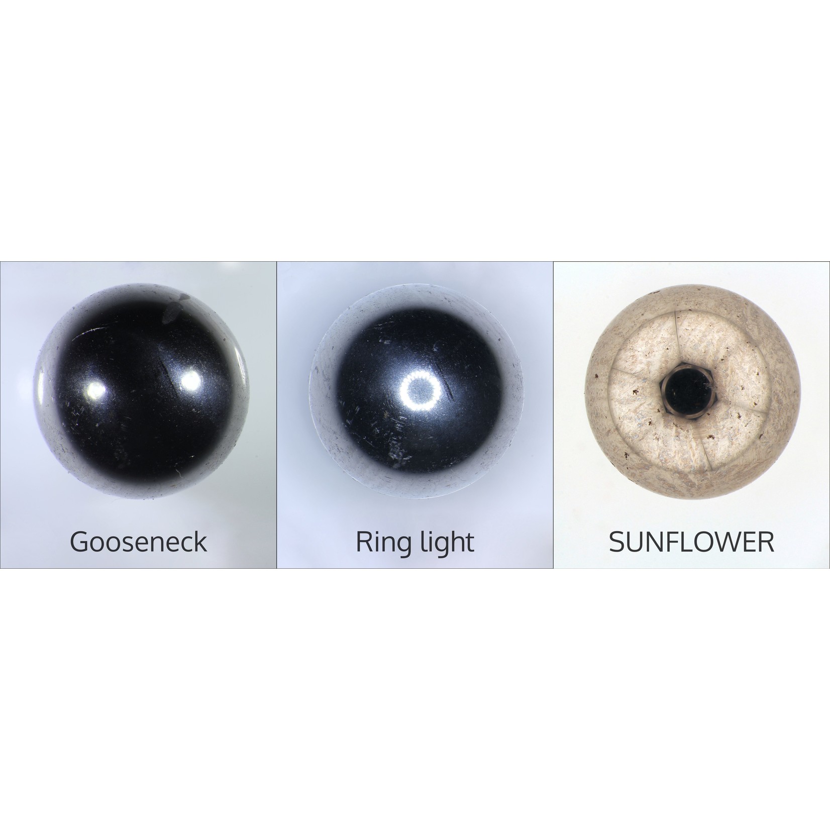 SUNFLOWER stereomicroscope LED illumination