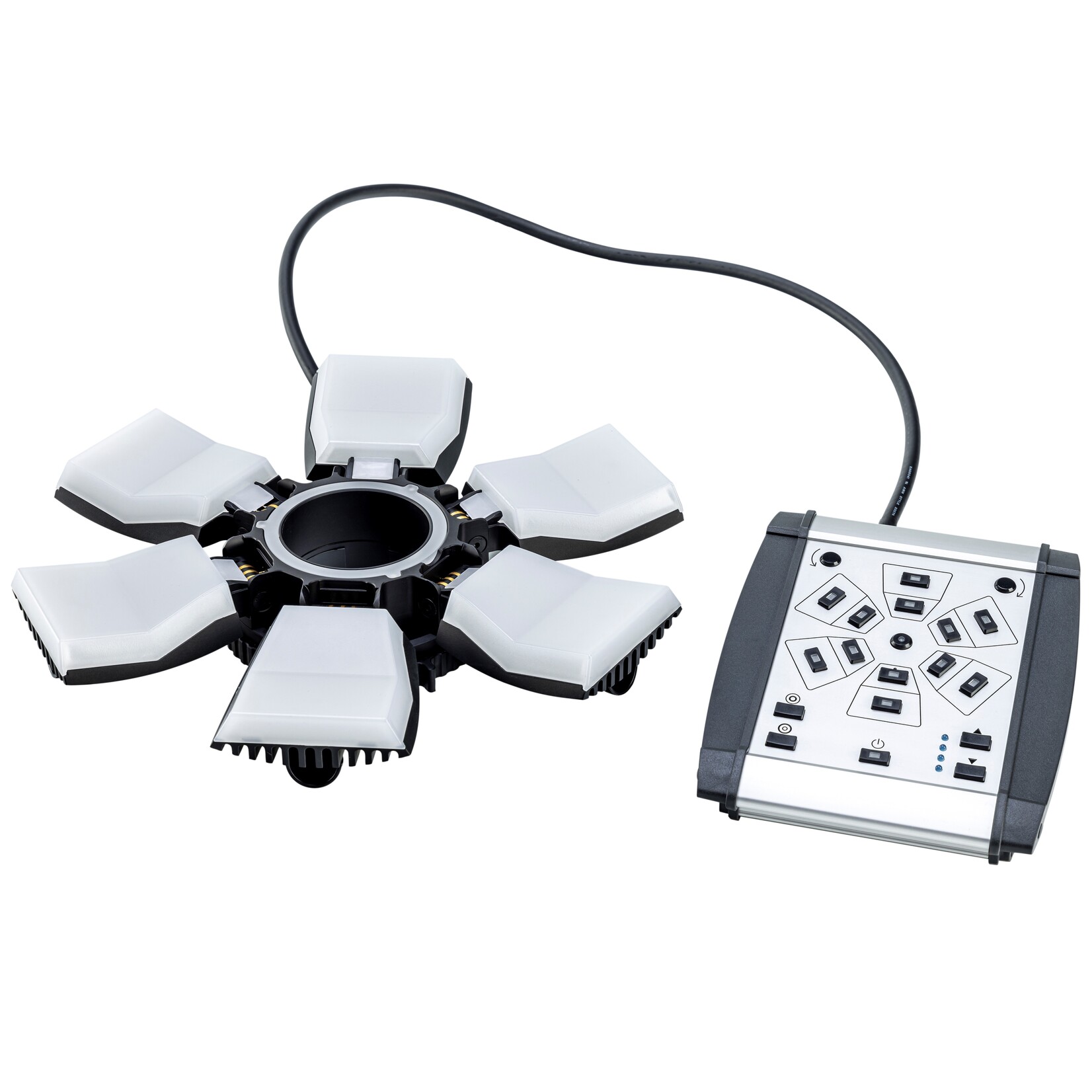 SUNFLOWER - iluminação LED com estereomicroscópio