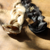 Sample Package: Hand-Tied Weft Sample Package: Hand-Tied Weft