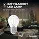 Ledvion Ledvion Dimbare E27 LED Lamp Filament - 3.5W - 2700K - 250 Lumen Ledvion Ledvion Dimbare E27 LED Lamp Filament - 3.5W - 2700K - 250 Lumen