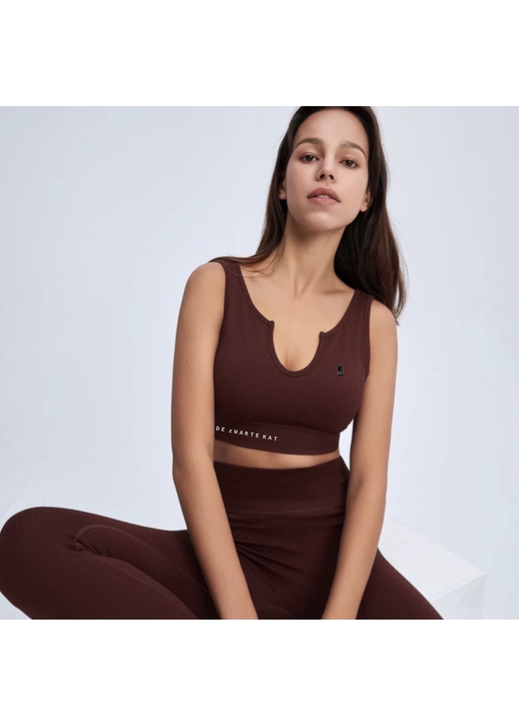 De zwarte kat Naadloze Gym Slijtage Set Geribbelde Stijlen Yoga Set Geavanceerde Kleur Outdoor Fitness Workout Sets Voor Vrouwen