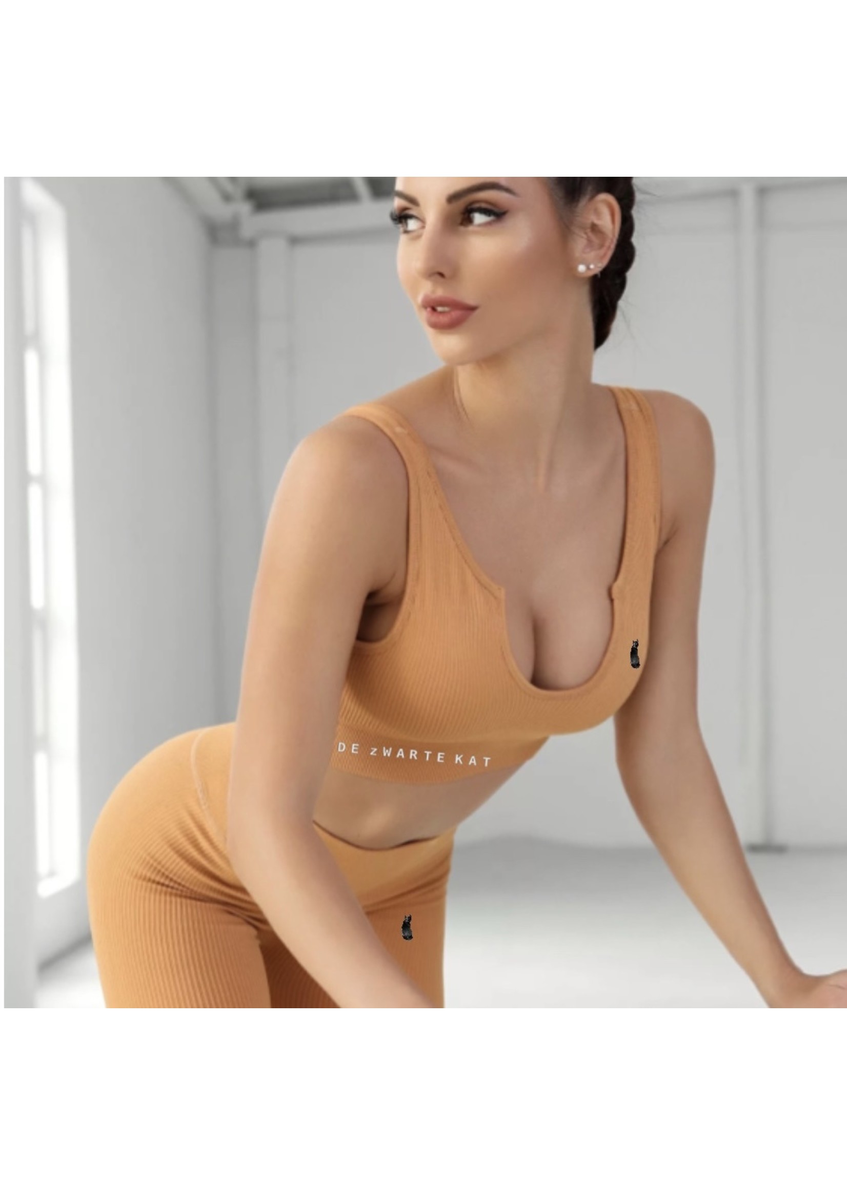 De zwarte kat Naadloze Gym Slijtage Set Geribbelde Stijlen Yoga Set Geavanceerde Kleur Outdoor Fitness Workout Sets Voor Vrouwen