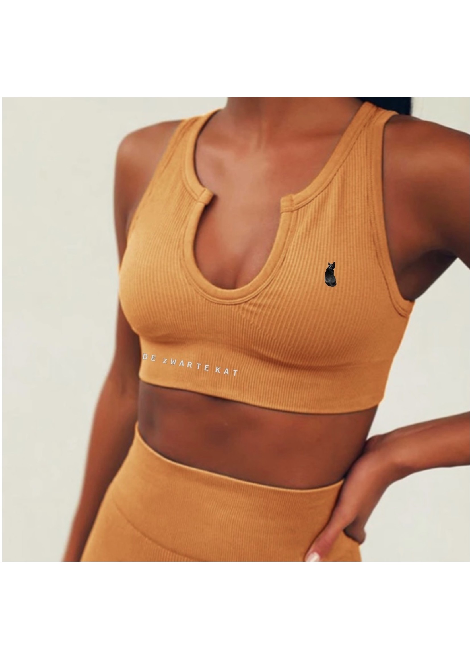 De zwarte kat Naadloze Gym Slijtage Set Geribbelde Stijlen Yoga Set Geavanceerde Kleur Outdoor Fitness Workout Sets Voor Vrouwen