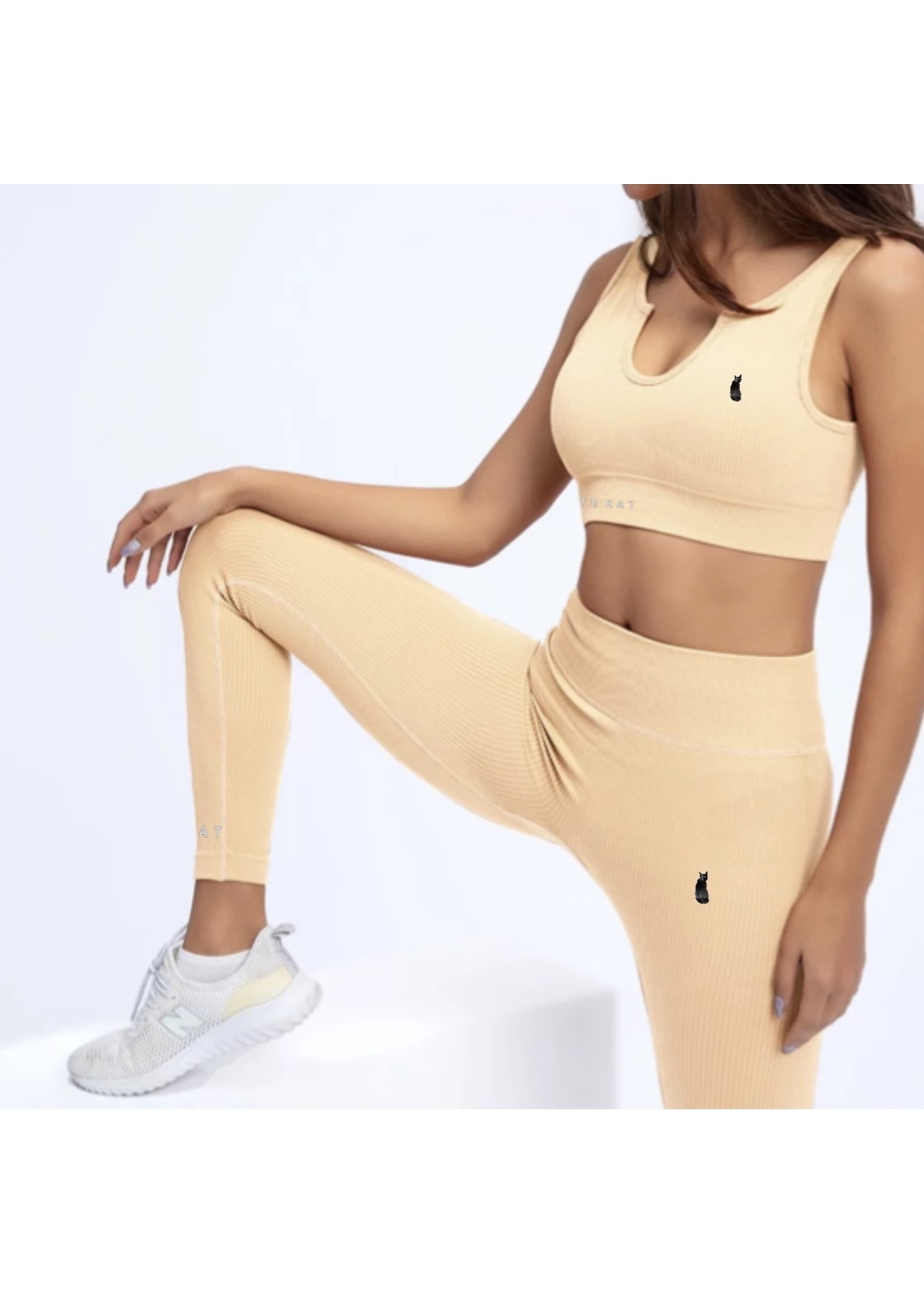 De zwarte kat Naadloze Gym Slijtage Set Geribbelde Stijlen Yoga Set Geavanceerde Kleur Outdoor Fitness Workout Sets Voor Vrouwen