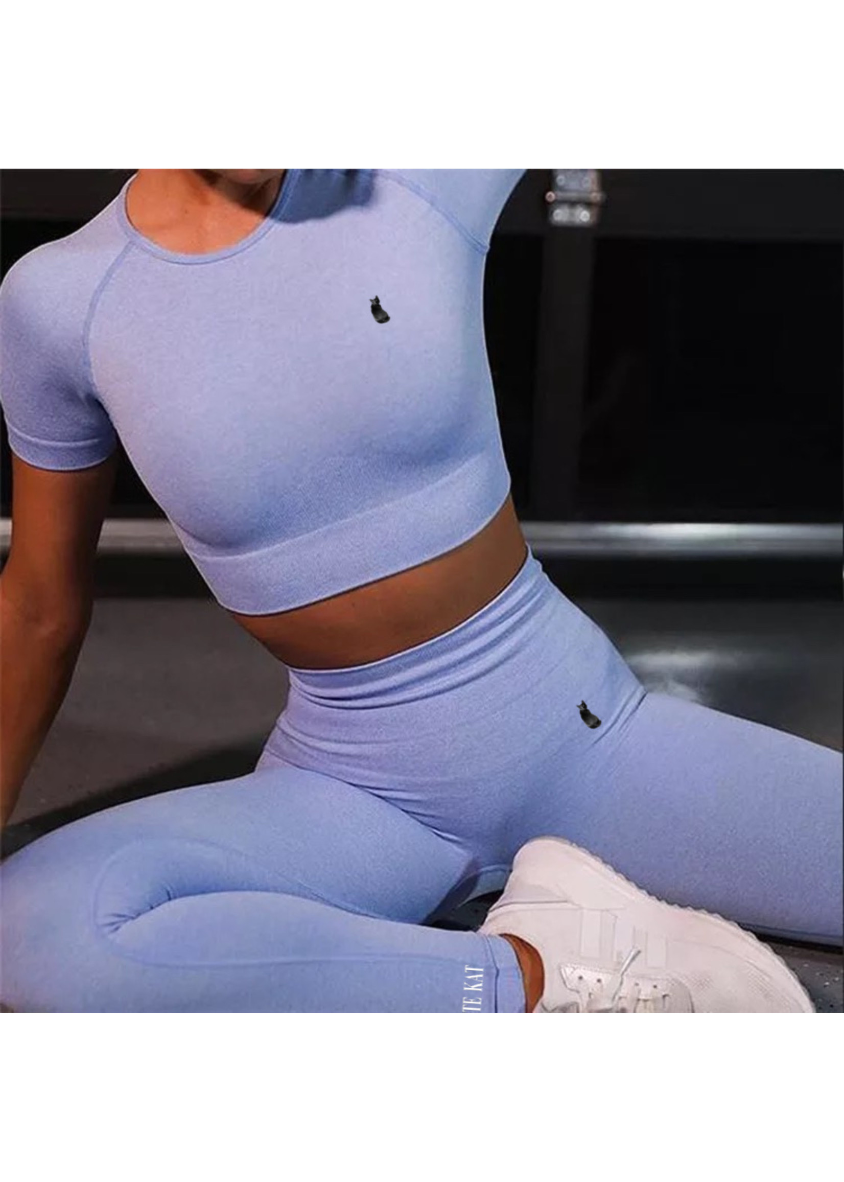 De zwarte kat Set Gym Workout Korte Mouw Broek Ademend Mode Yoga Pak Voor Vrouwen