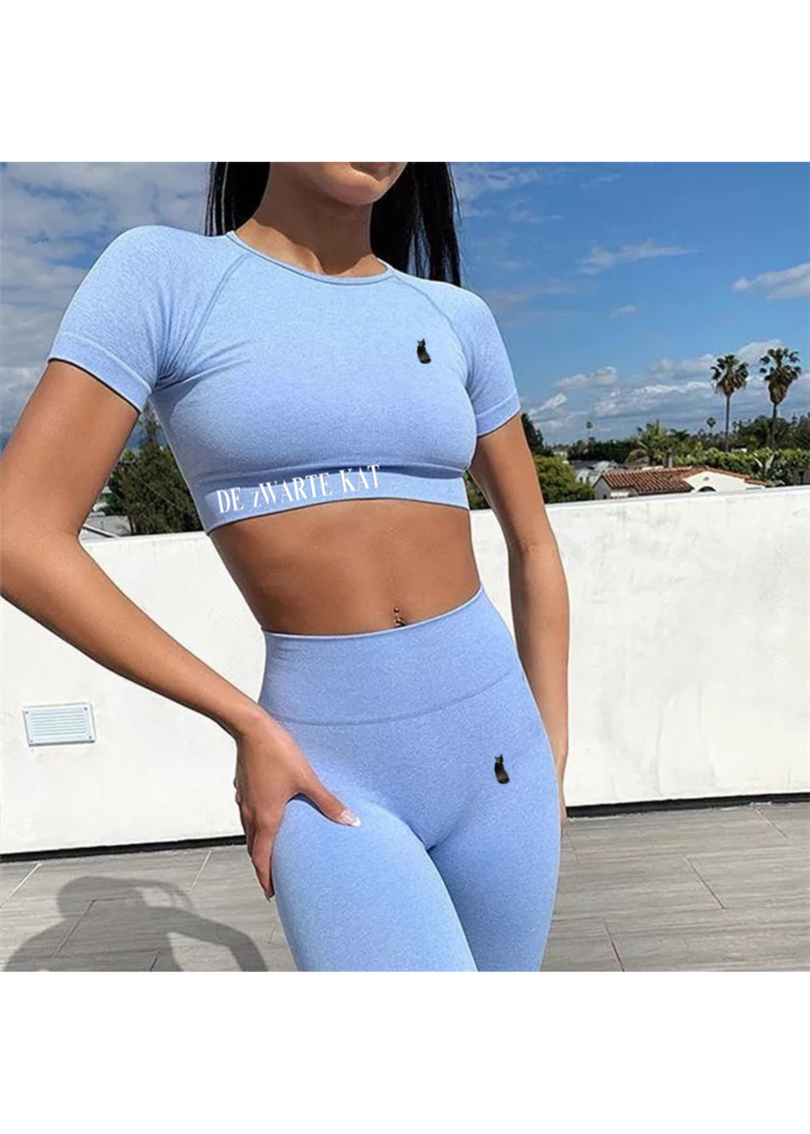 De zwarte kat Set Gym Workout Korte Mouw Broek Ademend Mode Yoga Pak Voor Vrouwen