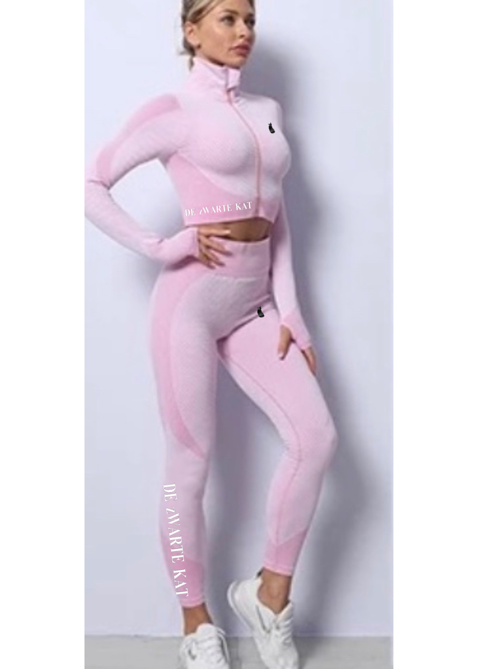 De zwarte kat Vrouw Fitness Slijtage Size Set Plus 3Pc Kleur Gym Kleding Lange Mouwen Activewear Yoga Sets Voor Vrouwen yoga Pak Naadloze