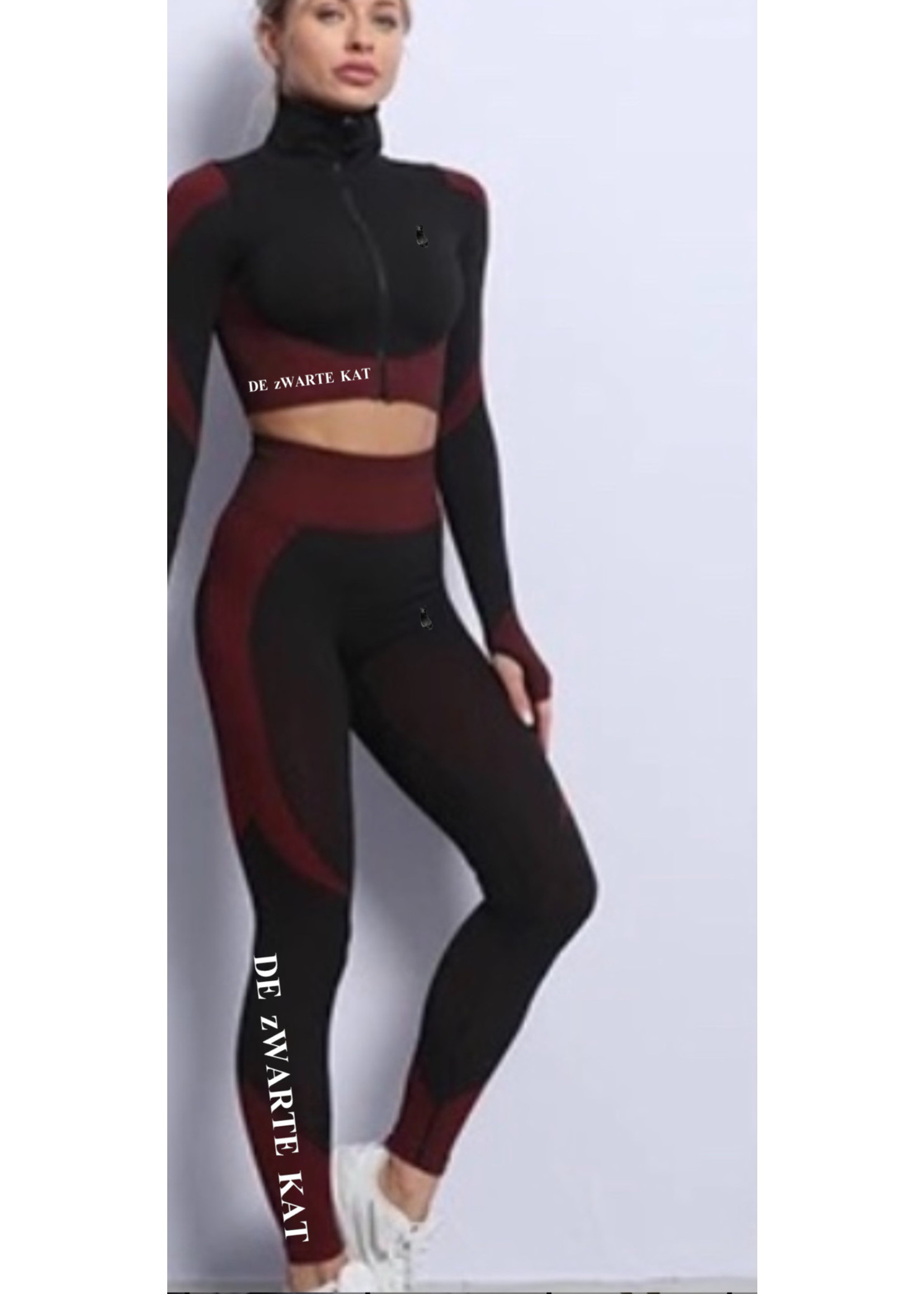De zwarte kat Vrouw Fitness Slijtage Size Set Plus 3Pc Kleur Gym Kleding Lange Mouwen Activewear Yoga Sets Voor Vrouwen yoga Pak Naadloze