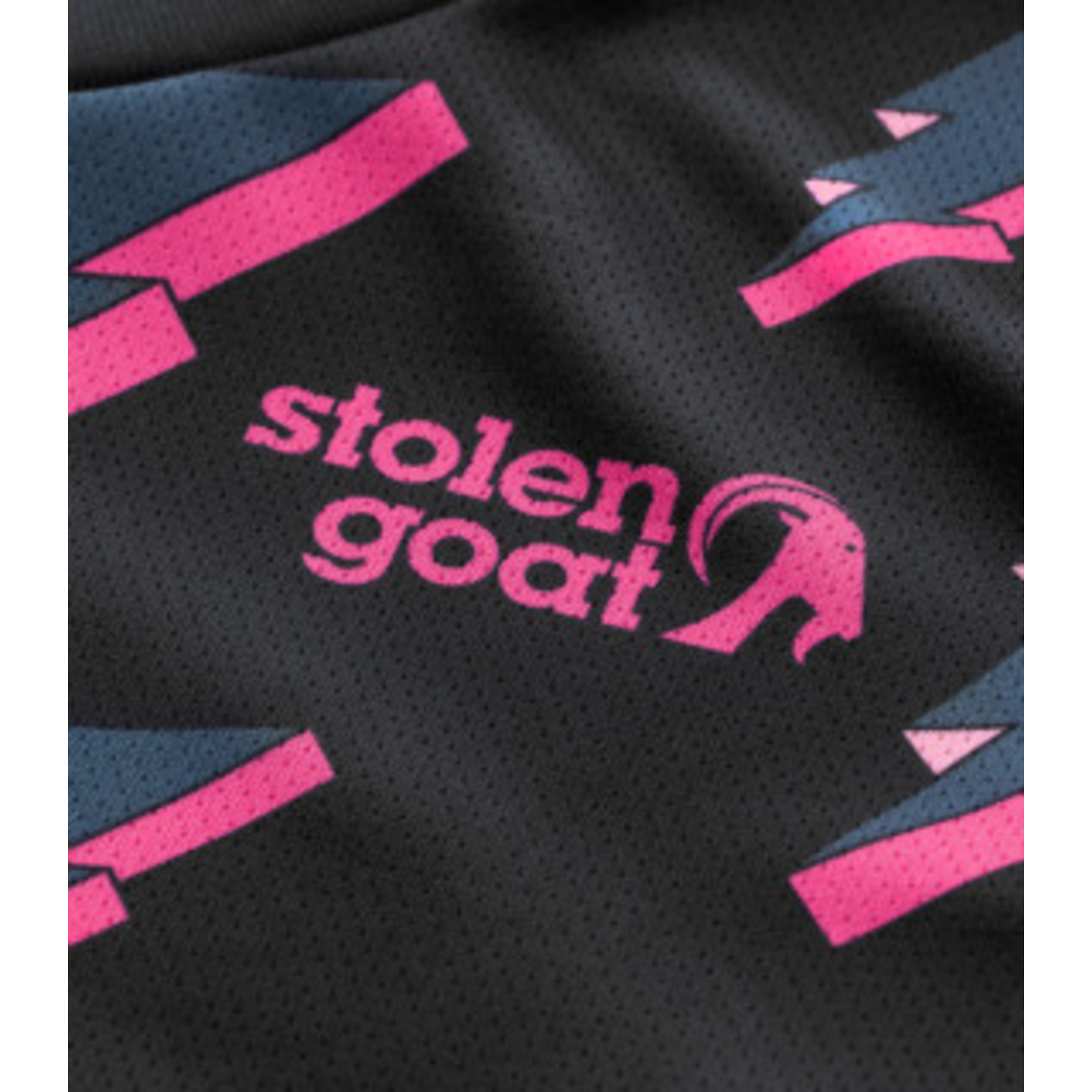 Stolen Goat Stolen Goat Womens Voltage Grey LS Jersey