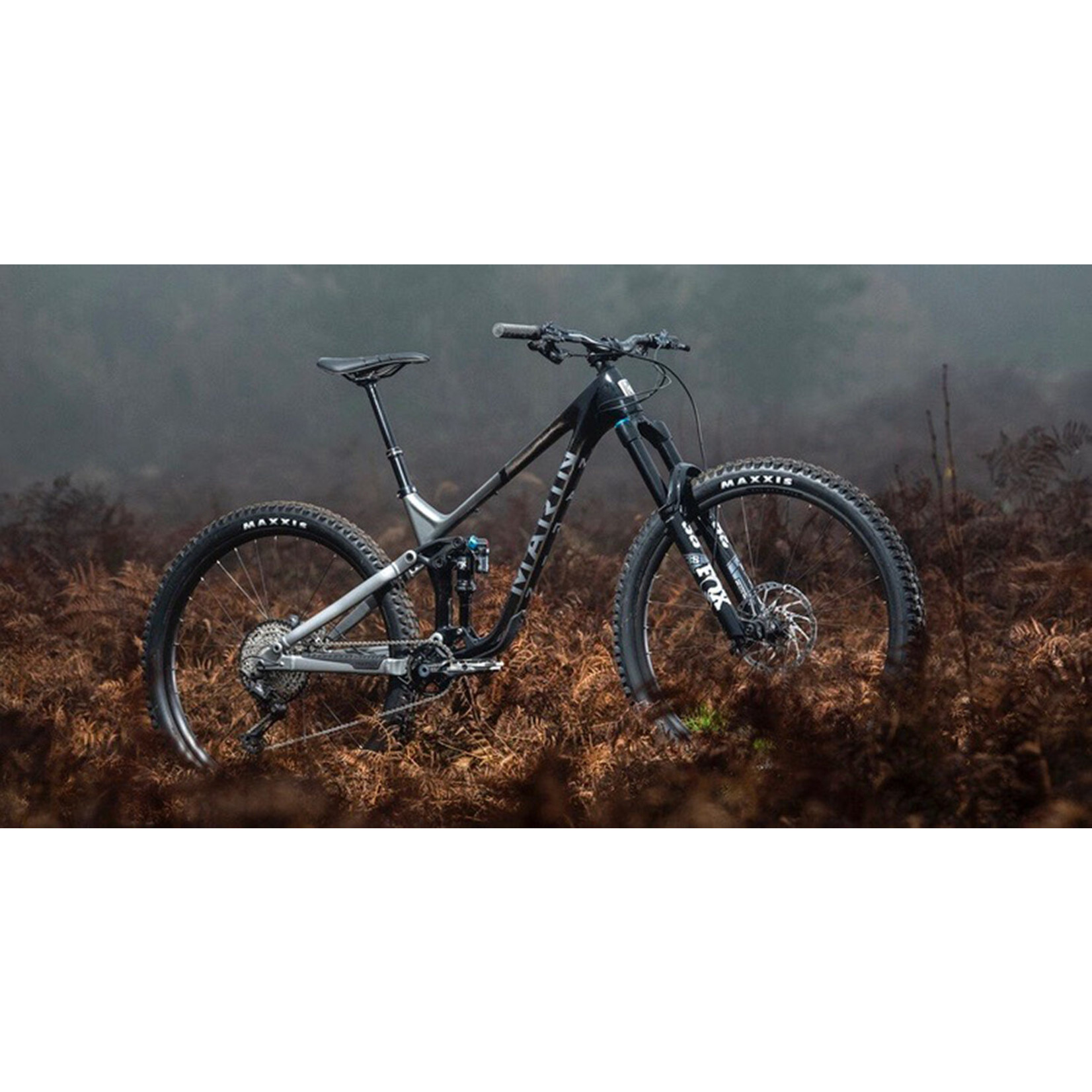 Marin Marin Alpine Trail Carbon 2