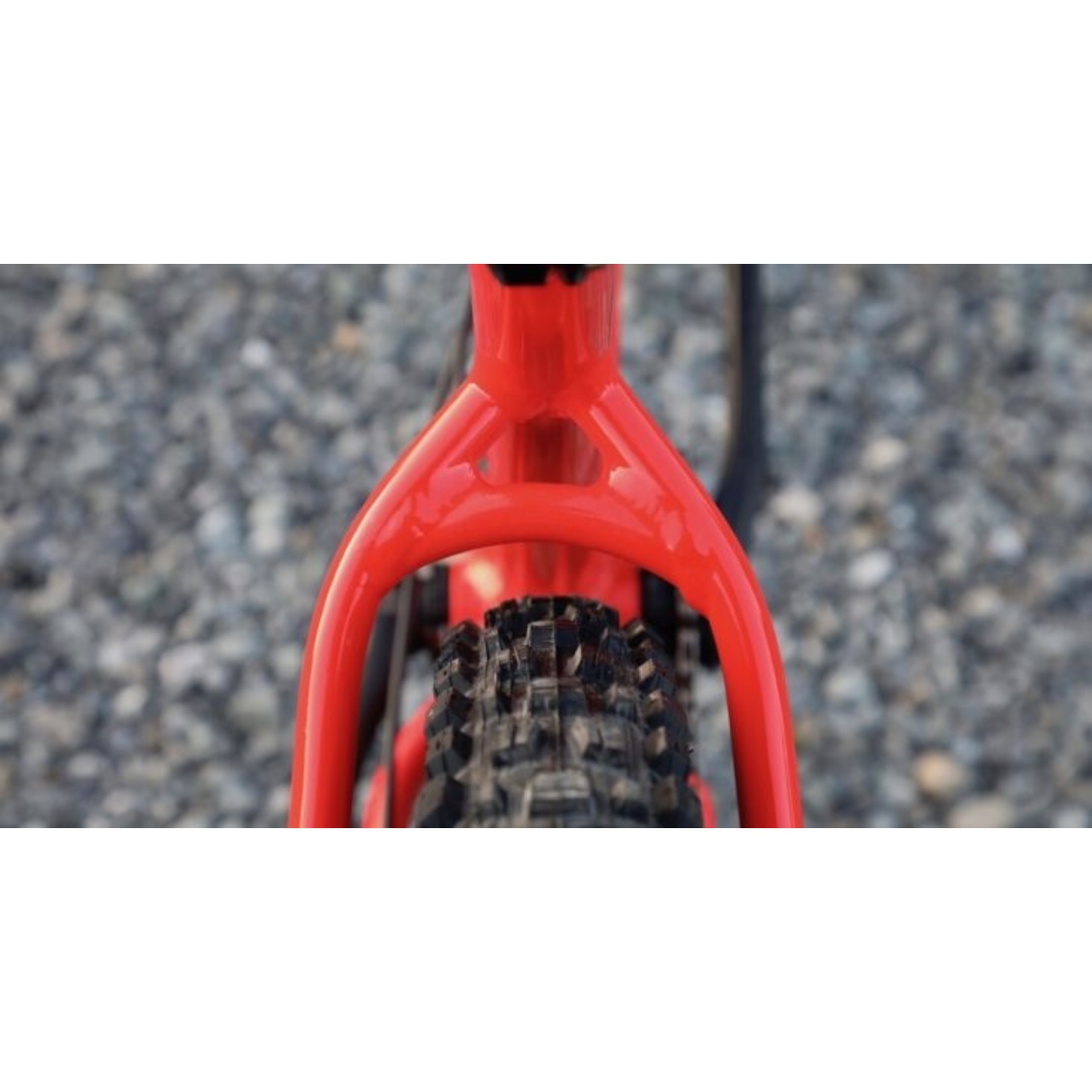 2019 Marin San Quentin