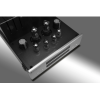 EVO 100-d buizen dac