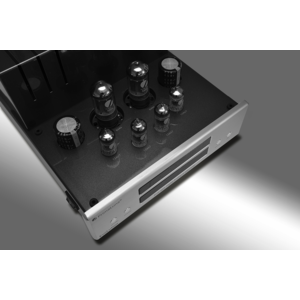 PrimaLuna  PrimaLuna EVO 100-d buizen dac