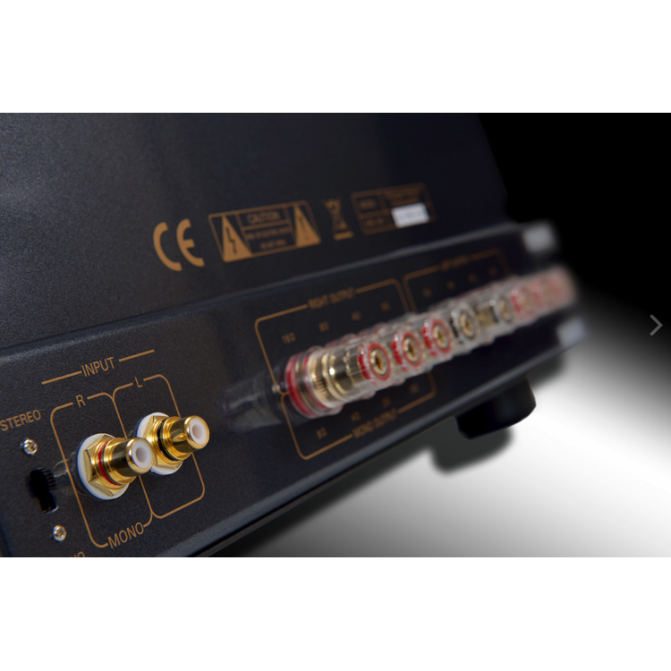 PrimaLuna  PrimaLuna EVO200-a buizeneindversterker