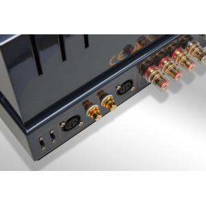 PrimaLuna  PrimaLuna EVO300-a buizeneindversterker