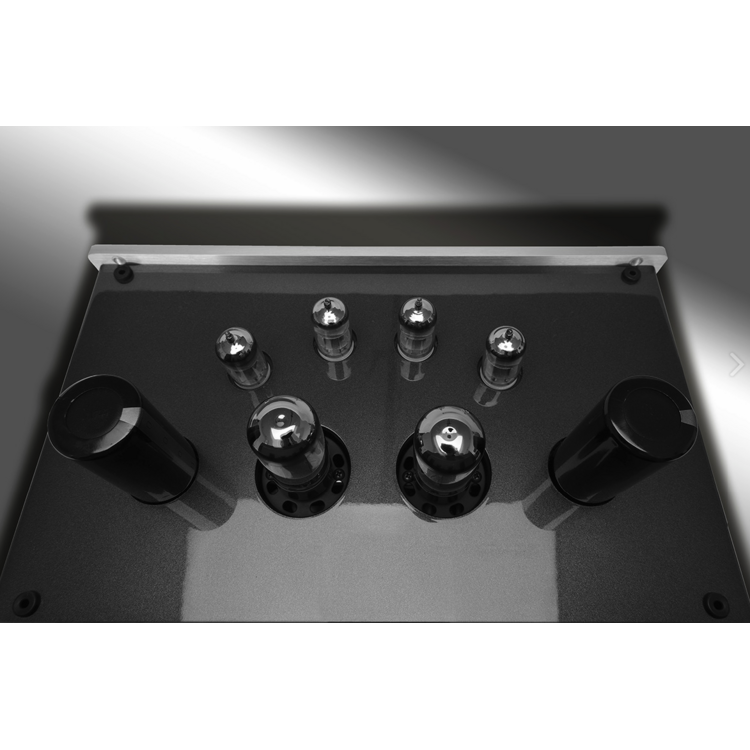 PrimaLuna  PrimaLuna EVO200-p buizenvoorversterker