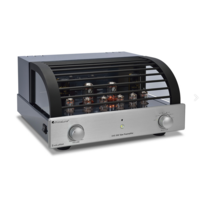 EVO300-p  buizenvoorversterker