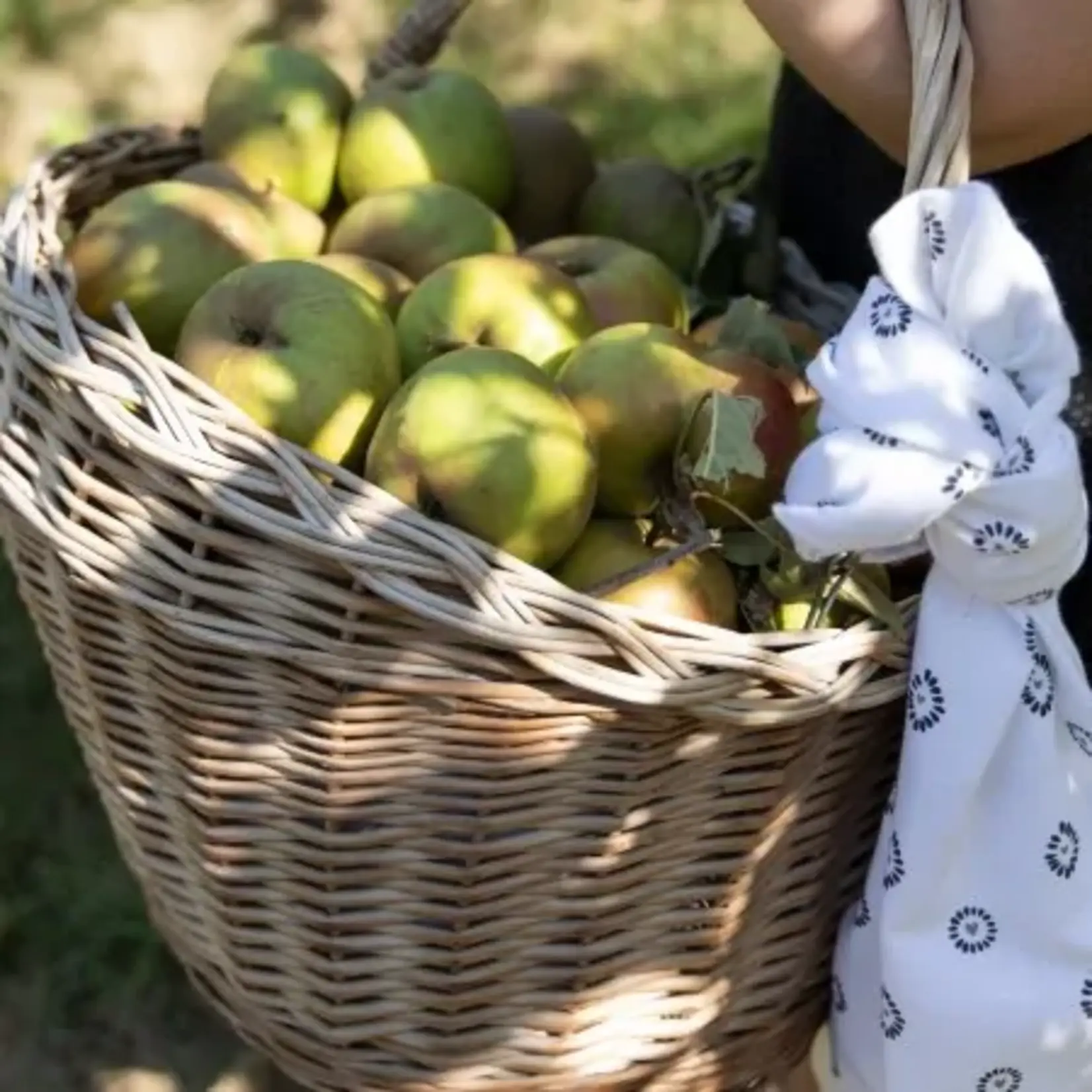 Bastion Collections Theedoeken varianten