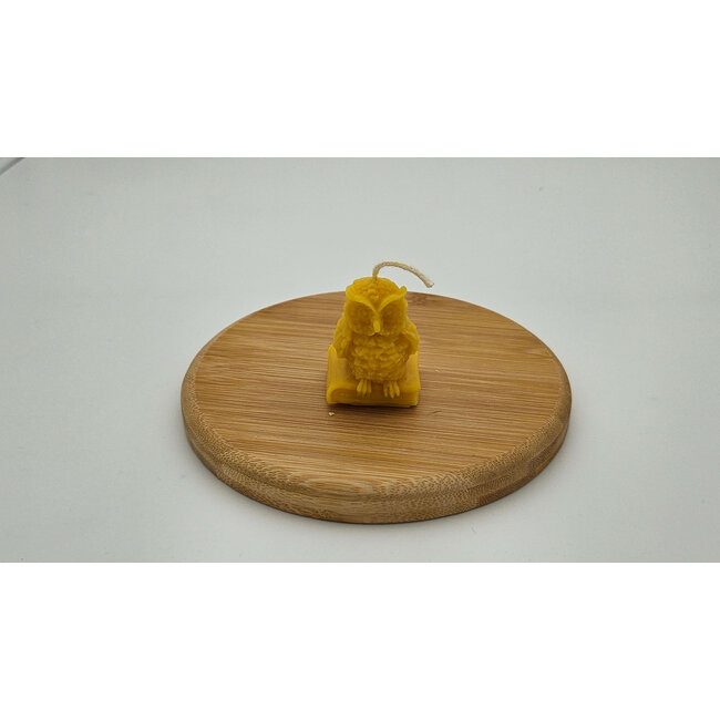 Bijenwaskaars Uiltje zittend op een boek