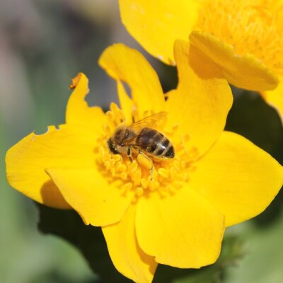 Gezicht & Lichaamsverzorging