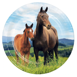 Cheval et poney