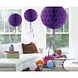 Ballon en nid d'abeille violet | 30cm Ballon en nid d'abeille violet | 30cm