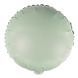 Amscan Ballon Hélium Ronde Eucalyptus 43cm | par pièce Amscan Ballon Hélium Ronde Eucalyptus 43cm | par pièce