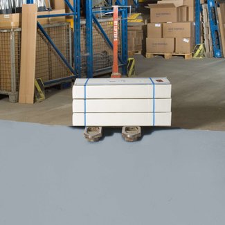 PROline-paint Peinture de marquage pour sols – 5 litres – gris argenté