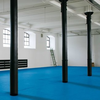 PROline-paint Peinture bicomposant pour sols industriels – 5 litres – bleu