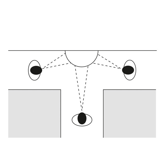 PANORAMA 180° driewegspiegel - Ø 800 mm