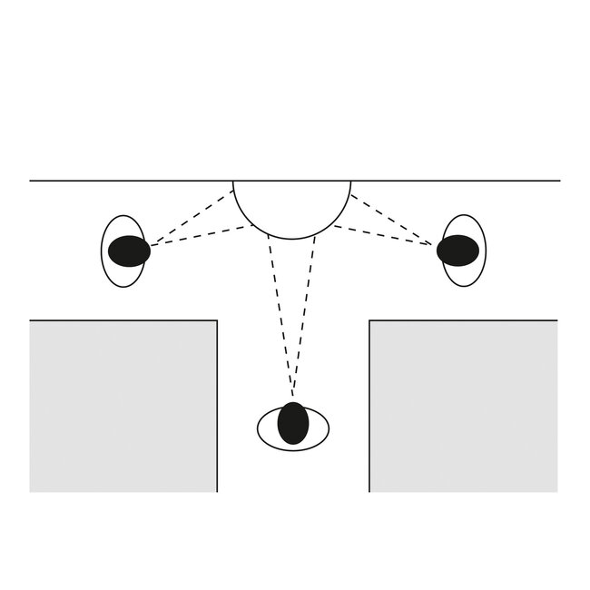 PANORAMA 180° driewegspiegel - Ø 900 mm