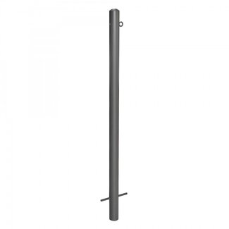 MORION Poteaux de délimitation Ø 60 mm - fixes à bétonner - un anneau de chaîne - DB703