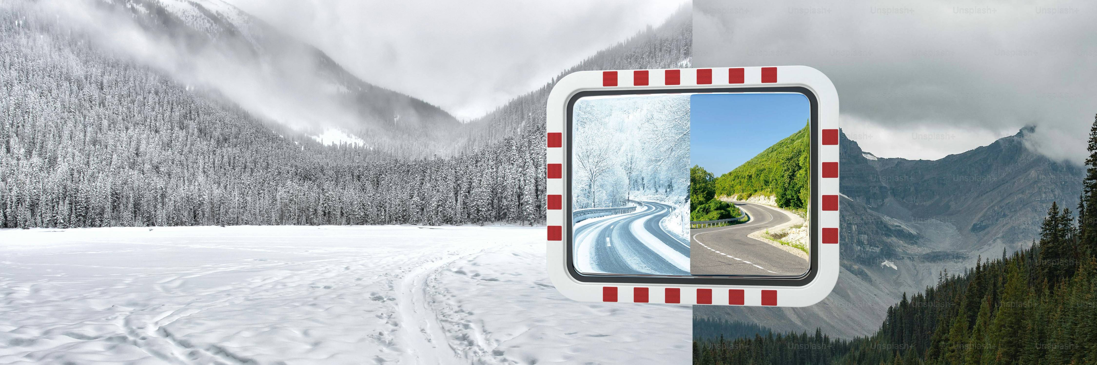 Standaard uitvoering of ICEFREE uitvoering