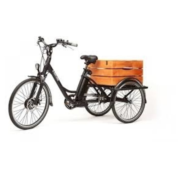 Elektrisch Driewielfiets E-Natura