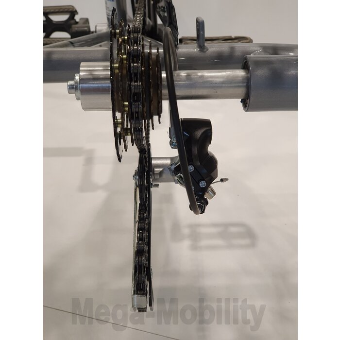 Eco Trike S Driewielfiets