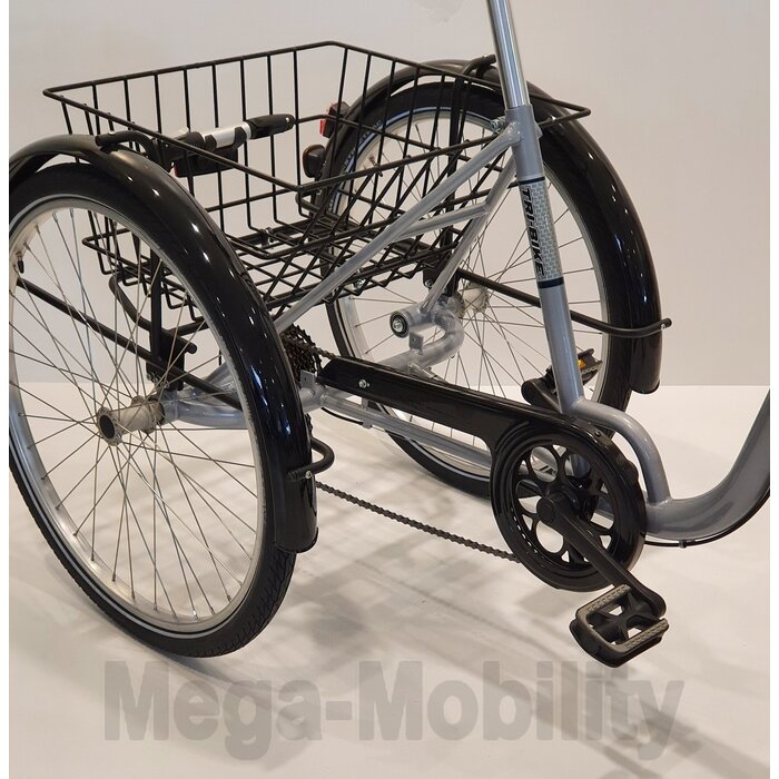 Eco Trike S Driewielfiets