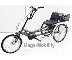 Y-Frame elektrische Driewielfiets (Model 2021)