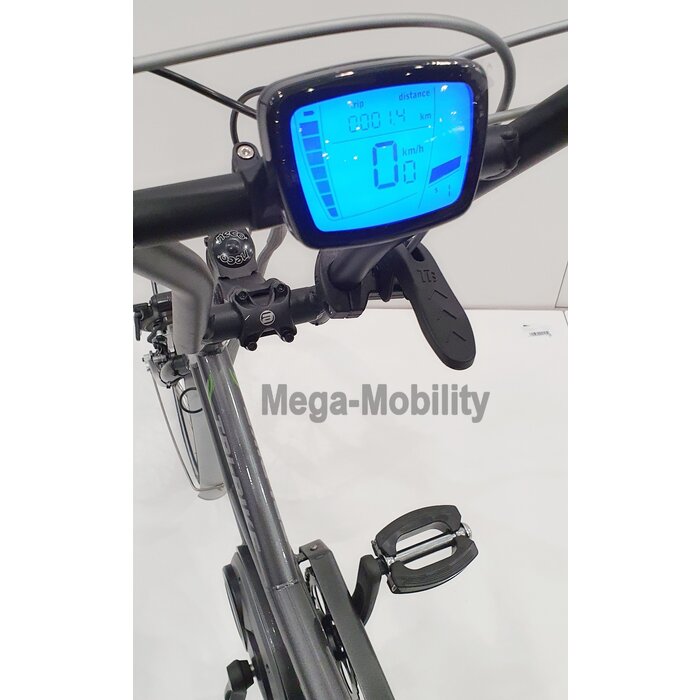 Y-Frame elektrische Driewielfiets Tri-bike (Model 2021)