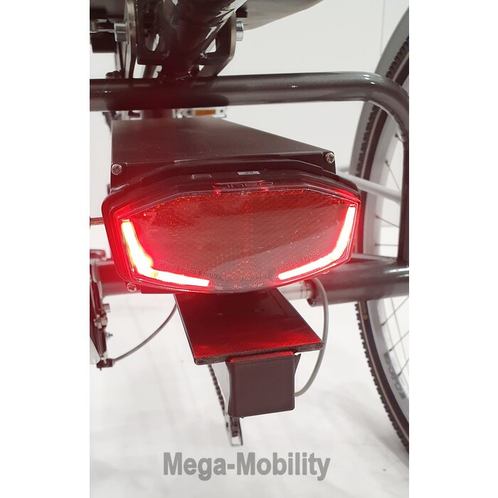 Y-Frame elektrische Driewielfiets Tri-bike (Model 2021)