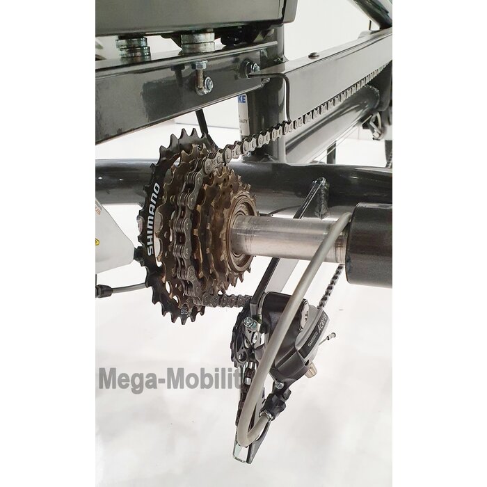 Y-Frame elektrische Driewielfiets Tri-bike (Model 2021)