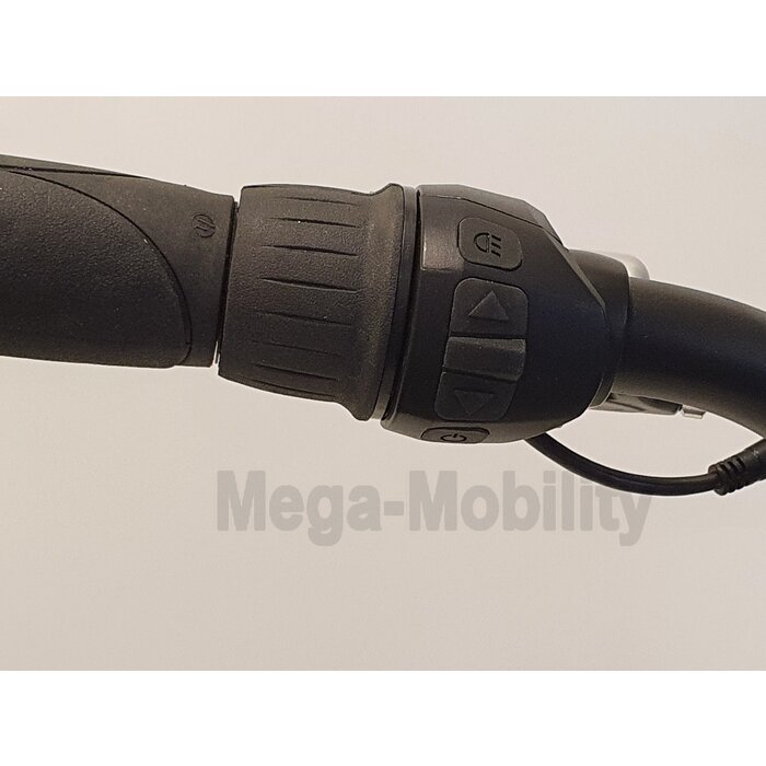 Y-Frame elektrische Driewielfiets Tri-bike (Model 2021)