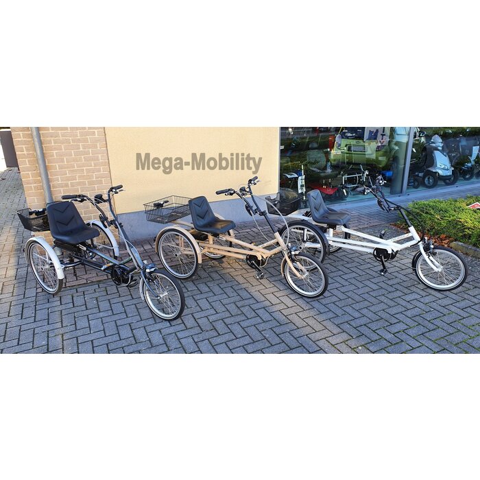 Y-Frame Driewielfiets Tri-bike