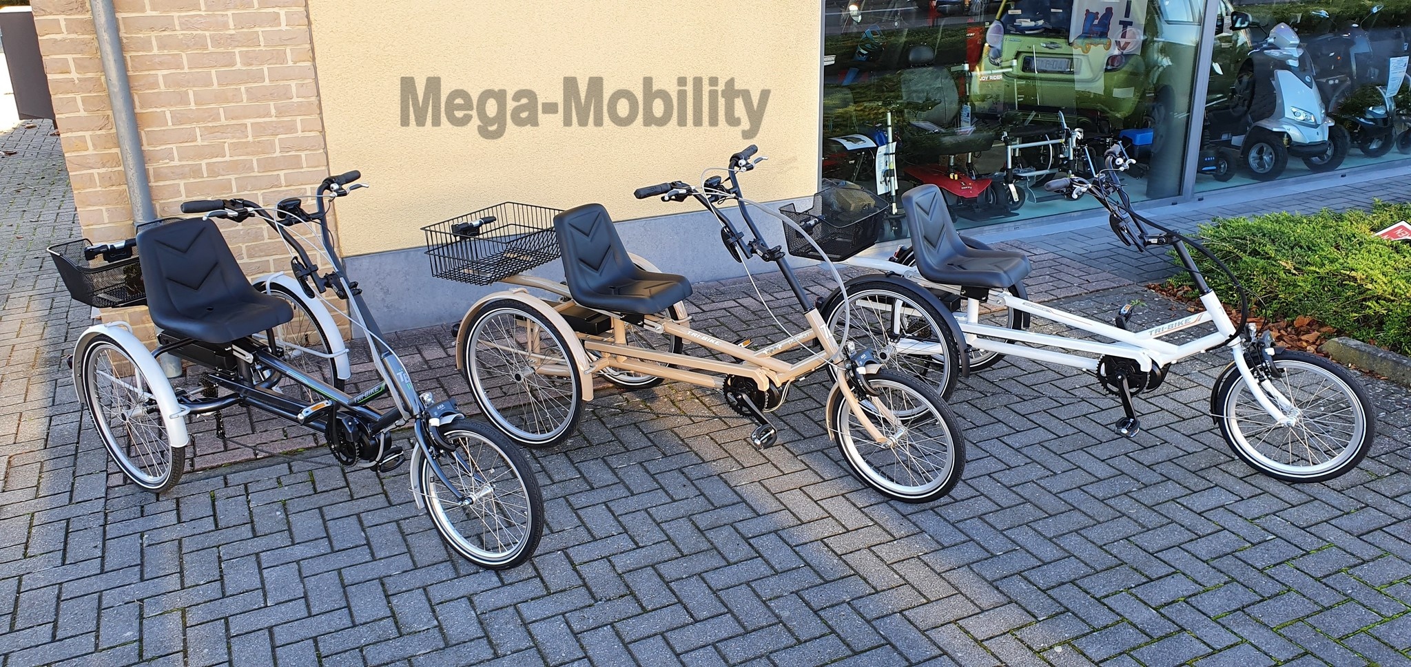 Y-Frame Driewielfiets Tri-bike