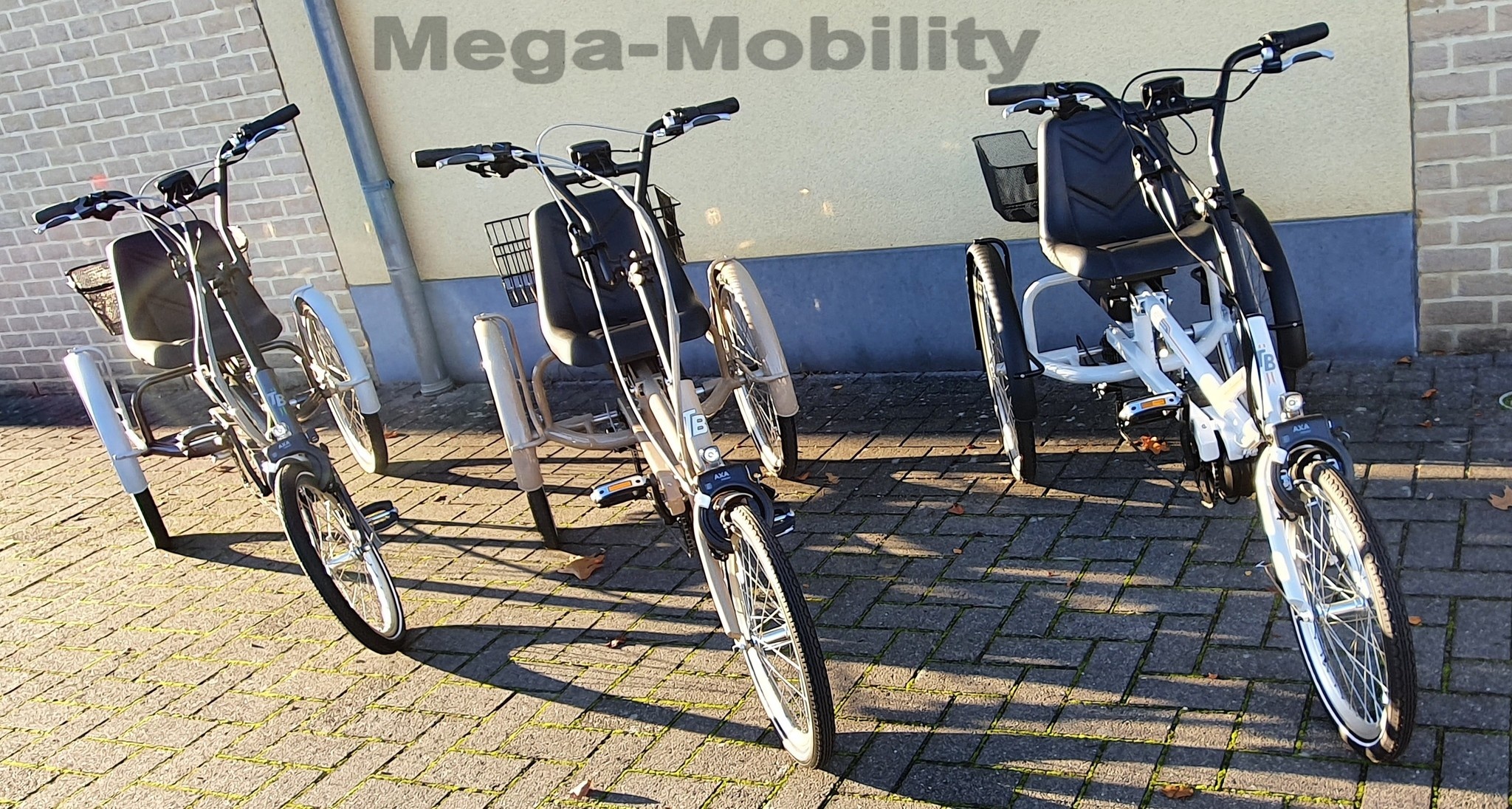 Y-Frame Driewielfiets Tri-bike