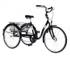 Eco-Trike S Driewielfiets