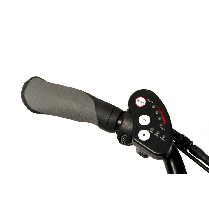 2217E Freedom Elektrische driewielfiets